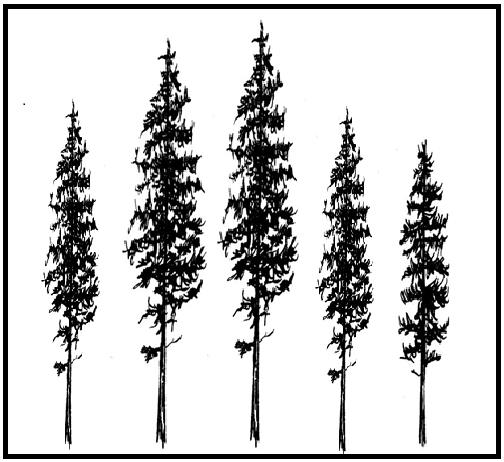 Device Of Tree Device mark 4812447 Trademark