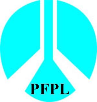 Pfpl Device mark 4823206 Trademark