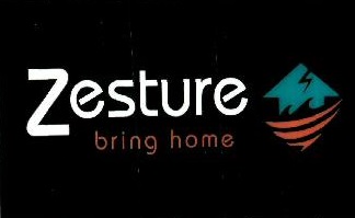 Zesture Device mark 4823317 Trademark