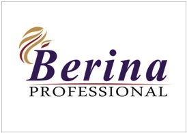 Berina Professional Device mark 4825266 Trademark