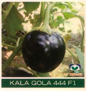 Kala Gola 444 F1 Device mark 4827259 Trademark