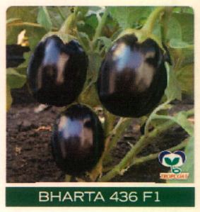 Bharta 436 F1 Device mark 4827262 Trademark