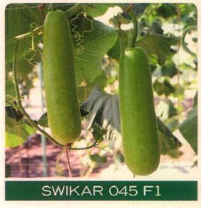 Swikar 045 F1 Device mark 4827258 Trademark