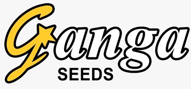 Ganga Seeds Device mark 4828805 Trademark