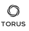 Torus Device mark 4833171 Trademark