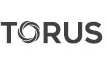 Torus Device mark 4833176 Trademark