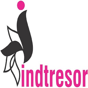 Indtresor Device mark 4836346 Trademark