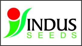 Indus Seeds Device mark 4846187 Trademark