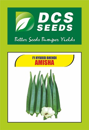 Dcs Seeds Amisha Device mark 4846451 Trademark