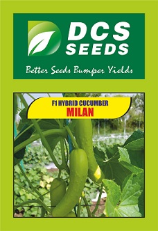 Dcs Seeds Milan Device mark 4846454 Trademark
