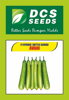 Dcs Seeds Avani Device mark 4846457 Trademark