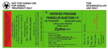Zydus Ah Device mark 4846355 Trademark
