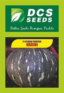 Dcs Seeds Harini Device mark 4846460 Trademark