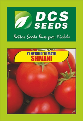 Dcs Seeds Shivani Device mark 4846452 Trademark