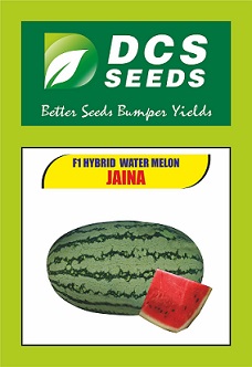 Dcs Seeds Jaina Device mark 4846439 Trademark