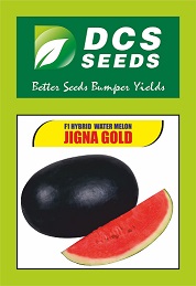 Dcs Seeds Jigna Gold Device mark 4846438 Trademark