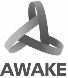 Awake Device mark 4857320 Trademark