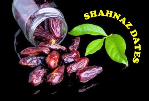 Shahnaz Dates Device mark 4857839 Trademark