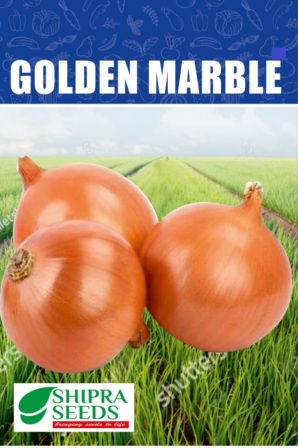 Golden Marble Device mark 4865860 Trademark