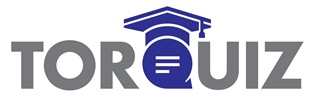 Torquiz Device mark 4867331 Trademark