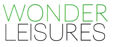 Wonder Leisures Device mark 4873599 Trademark