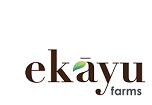 Ekayu Device mark 4885184 Trademark