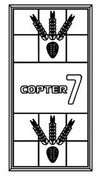 Copter 7 Device mark 4886305 Trademark
