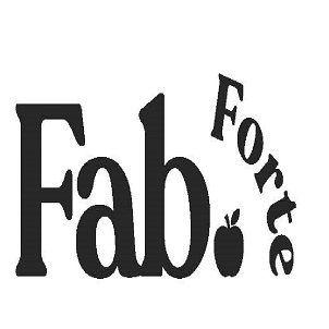 Fab Forte Device mark 4887329 Trademark