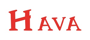 Hava Device mark 4887978 Trademark