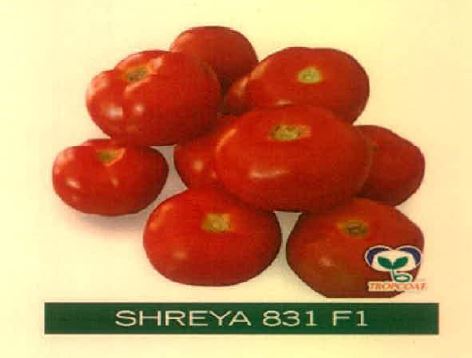 Shreya 831 F1 Device mark 4891464 Trademark