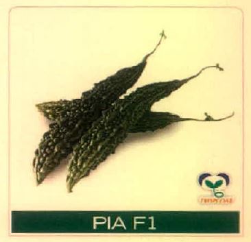 Pia F1 Device mark 4891461 Trademark
