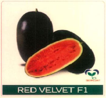 Red Velvet F1 With Device Device mark 4891470 Trademark