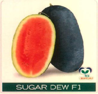 Sugar Dew F1 Device mark 4891472 Trademark