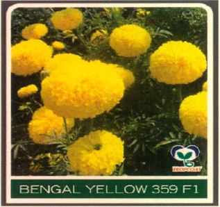 Bengal Yellow 359 F1 Device mark 4891474 Trademark