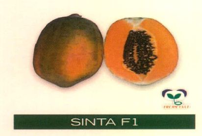 Sinta F1 Device mark 4891473 Trademark