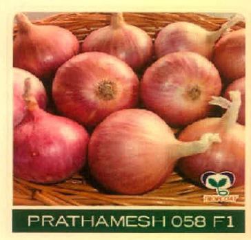 Prathamesh 058 F1 Device mark 4891465 Trademark
