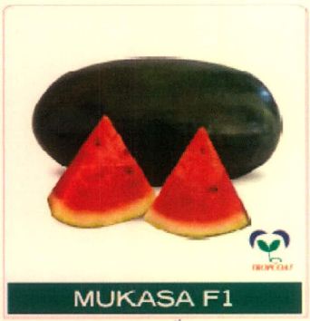 Mukasa F1 With Device Device mark 4891471 Trademark