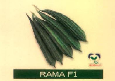 Rama F1 Device mark 4891458 Trademark