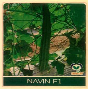 Navin F1 Device mark 4891459 Trademark