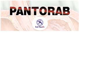 Pantorab Device mark 4891948 Trademark