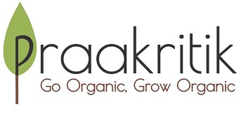 Praakritik Device mark 4895310 Trademark