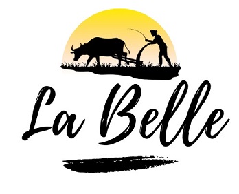 Labelle Device mark 4896515 Trademark