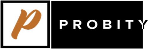 P Probity Device mark 4897511 Trademark