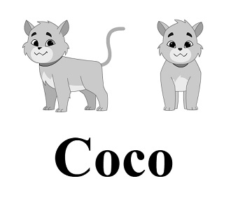Coco (with Device) Device mark 4898727 Trademark