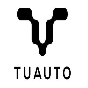 Tuauto Device mark 4899002 Trademark