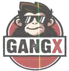 Gangx Device mark 4899963 Trademark