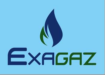 Exagaz Device mark 4906047 Trademark