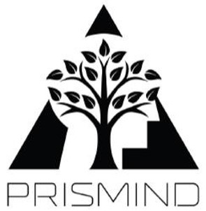 Prismind Device mark 4908879 Trademark
