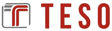 Teso Device mark 4909135 Trademark