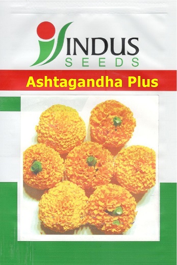 Indus Ashtagandha Plus Device mark 4909720 Trademark